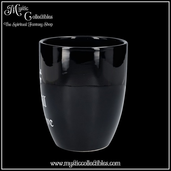 wi-gd004-3-plant-pot-i-will-survive