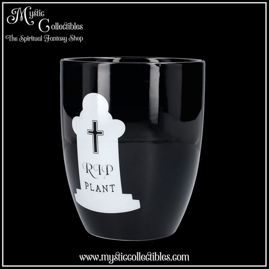 wi-gd005-2-plant-pot-rip-plant