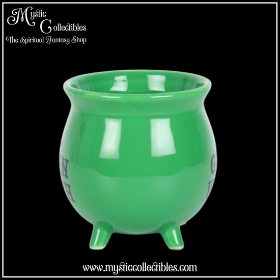 wi-mk006-4-mug-green-witch-cauldron