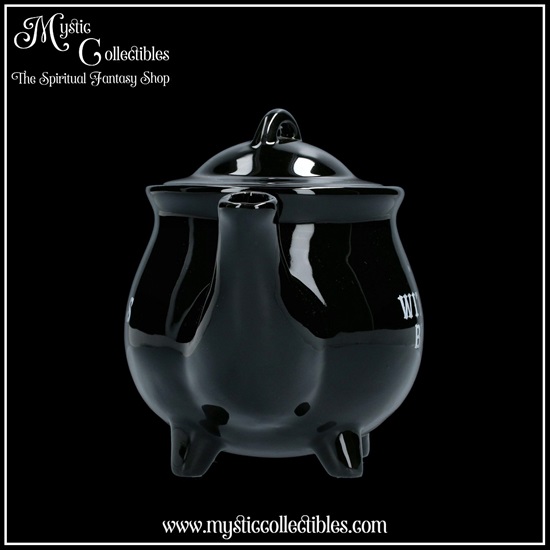 wi-tw004-3-tea-pot-witches-brew
