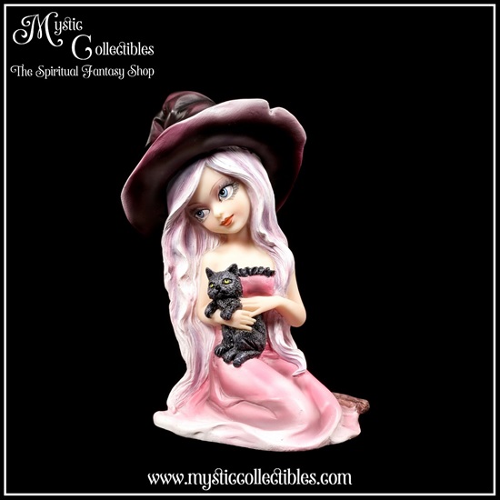 wi-fg001-2-figurine-witch-rosa