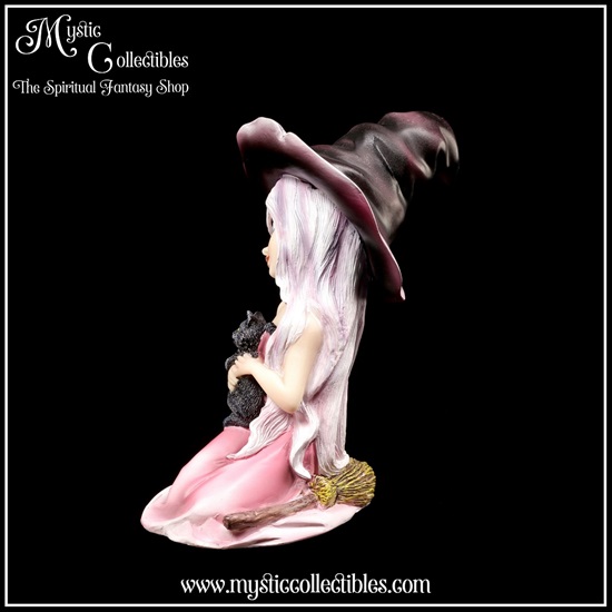 wi-fg001-3-figurine-witch-rosa