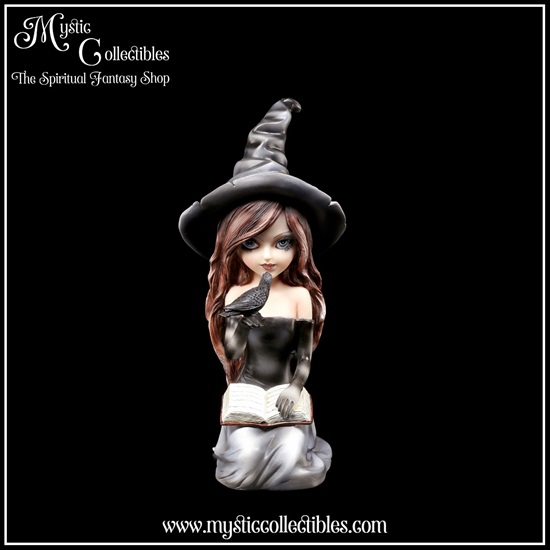 wi-fg002-1-figurine-witch-regan