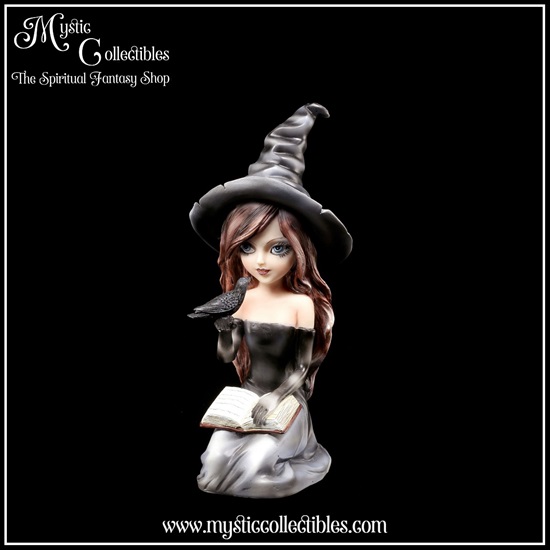 wi-fg002-2-figurine-witch-regan