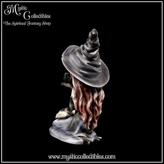 wi-fg002-3-figurine-witch-regan