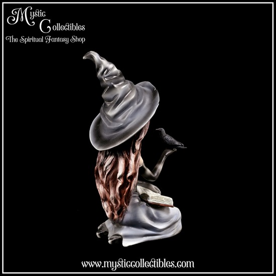 wi-fg002-4-figurine-witch-regan