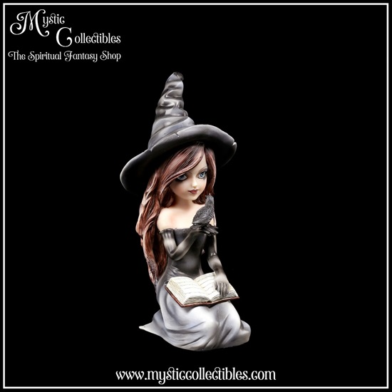 wi-fg002-5-figurine-witch-regan