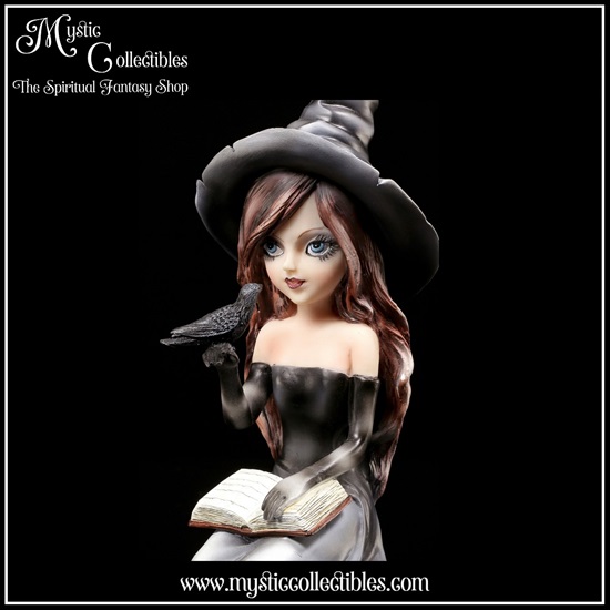 wi-fg002-6-figurine-witch-regan