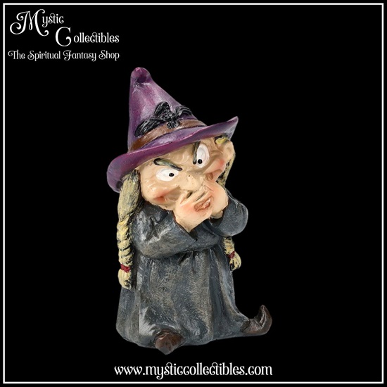 wi-fg008-9-figurines-the-three-wise-witches