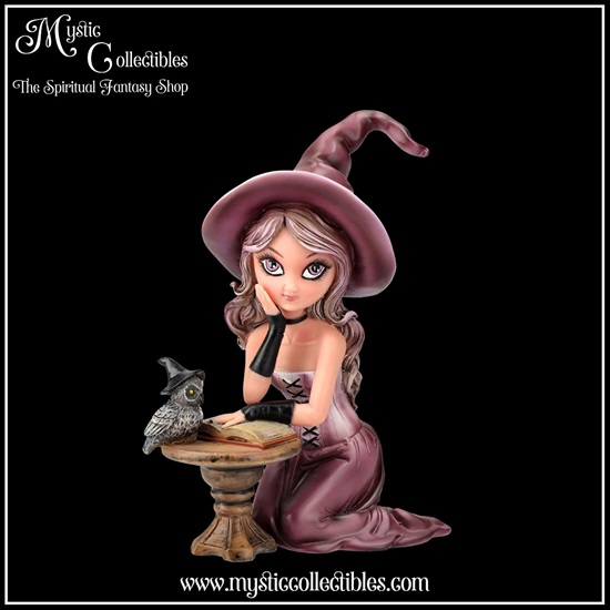 wi-fg011-1-figurine-witch-agatha