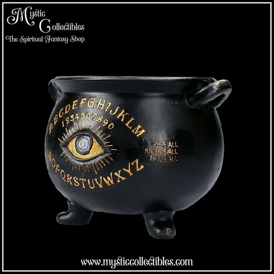 wi-bx001-2-all-seeing-cauldron-pot