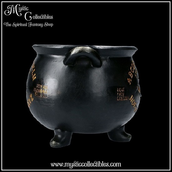 wi-bx001-5-all-seeing-cauldron-pot