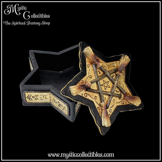 wi-bx004-1-magick-protector-box