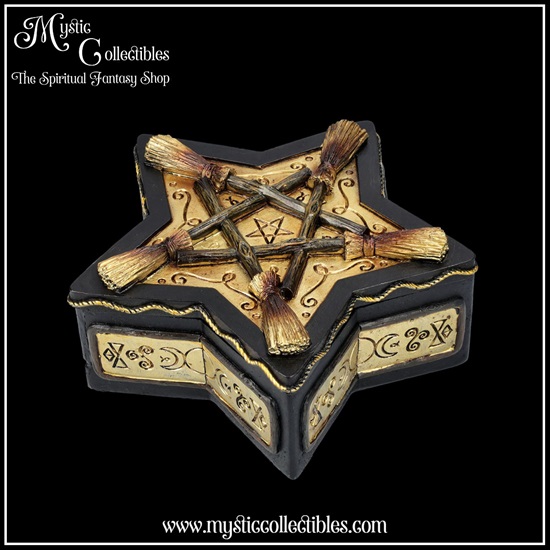 wi-bx004-4-magick-protector-box