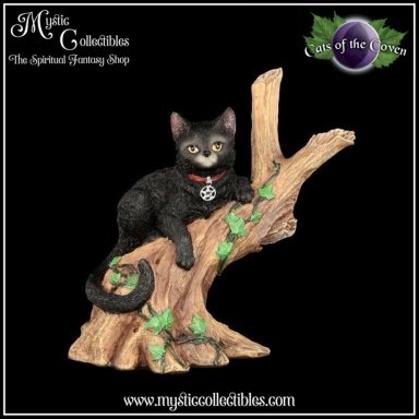 Beeldje Onyx 14cm - Cats Of The Coven Collectie - Nemesis Now (Kat - Katten)