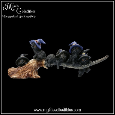 Beeld Purrfect Broomstick 27.5cm - Nemesis Now