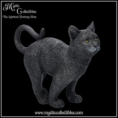 Beeld Moonlight Watcher 15cm - Nemesis Now (Kat - Katten)