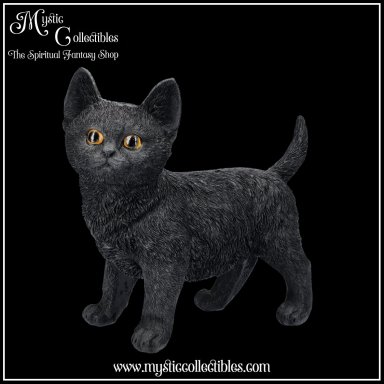 Beeld Charmed Companion 20cm - Nemesis Now (Kat - Katten)