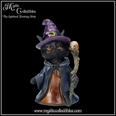 Beeldje Whiskered Wizard 14cm - Nemesis Now (Kat - Katten)