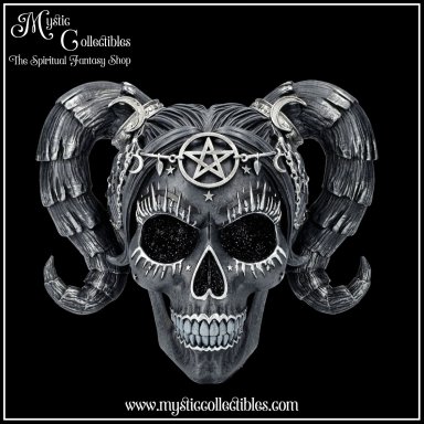 Schedel Beeld Drop Dead Gorgeous - Solve and Coagula 20.5cm Skull Figurine - Drop Dead Gorgeous Collectie - Nemesis Now (Skull - Schedels - Skulls)