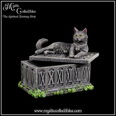 Doosje Fortune's Watcher Tarot Box 17cm - Ivy Collectie - Nemesis Now