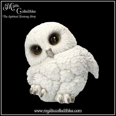 Beeldje Feathers 12.5cm - Nemesis Now