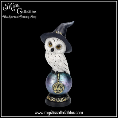 Beeld Owl's Charm 20cm - Nemesis Now