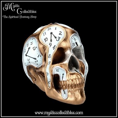 Schedel Beeld - Time Goes By (Skull - Schedels - Skulls)