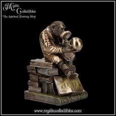 AN-BX001 Doosje Darwinism of Evolutionary Theory Box 17.5cm - Nemesis Now (Aap - Apen)