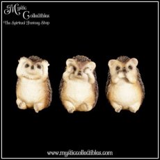 AN-FG009 Beeldjes Three Wise Hedgehogs 9cm - Nemesis Now (Horen - Zien - Zwijgen) (Egel - Egels)