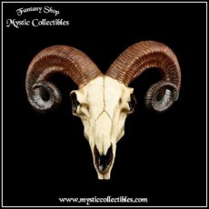 Wanddecoratie Rams Skull