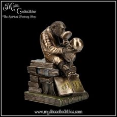 AP-BX001 Doosje Darwinism of Evolutionary Theory Box 17.5cm - Nemesis Now (Apen)