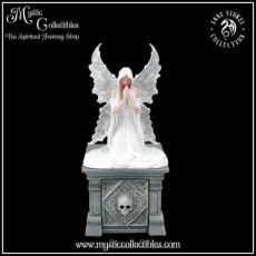 AS-BX003 Doosje Only Love Remains Box (AS) 20.3cm - Anne Stokes - Nemesis Now (Feeën)
