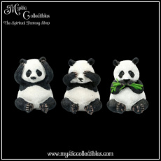 BE-FG001 Beeldjes Three Wise Pandas 8.5cm - Nemesis Now (Horen - Zien - Zwijgen)