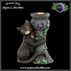 Kaarshouder Midnight - Cats of the Coven Collectie (Kat - Katten)