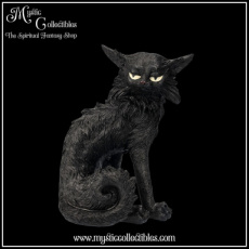 CT-FG029 Beeld Salem (Small) 19.6cm - Nemesis Now
