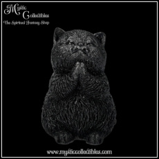 CT-FG062 Beeldje Whisker Wish 8.5cm - Nemesis Now