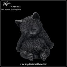 CT-FG063 Beeld Daydream 13cm - Nemesis Now (Kat - Katten)