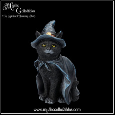 CT-FG064 Beeld Bewitching 18.5cm - Nemesis Now