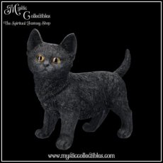 CT-FG069 Beeld Charmed Companion 20cm - Nemesis Now (Kat - Katten)