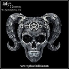 DDG-FG003 Schedel Beeld Drop Dead Gorgeous - Solve and Coagula 20.5cm Skull Figurine - Drop Dead Gorgeous Collectie - Nemesis Now (Skull - Schedels - Skulls)