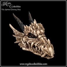 DR-BX002 Doosje Dragon Skull Box 20cm - Nemesis Now