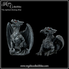 DR-FG004 Beeldjes Dark Fury (Set of 2) 10cm - Nemesis Now
