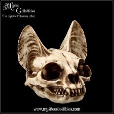 EM-FG002 Beeld Bastet's Secret 15cm - Nemesis Now (Kat - Schedel - Katten - Skulls - Schedels)