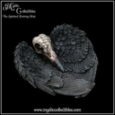 ER-BX001 Schaaltje Edgar's Raven Trinket Holder 17cm - Edgar's Raven Collectie - Nemesis Now (Raaf)