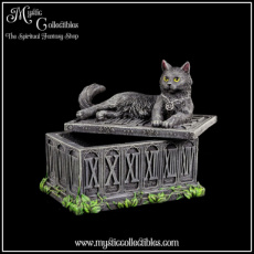 IV-BX001 Doosje Fortune's Watcher Tarot Box 17cm - Ivy Collectie - Nemesis Now