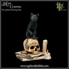 Beeld Spirits of Salem - Lisa Parker (Kat - Schedel - Katten - Schedels)