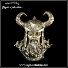 Beeld Odin - Norse God of Wisdom