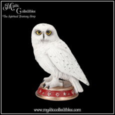 OW-FG016 Beeldje Wizard's Familiar 10cm - Nemesis Now