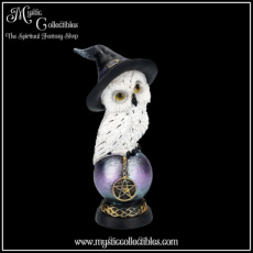 OW-FG030 Beeld Owl's Talisman 20cm - Nemesis Now